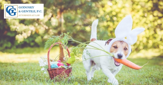 easter egg event with dog